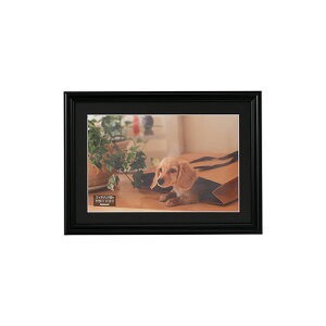 iJoV  ʐ^z tHgt[ WZc ubN F-SP-109-D yʐ^ tHgt[ z Ǌ|z #300# #301#yCHIz