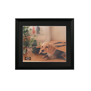 ナカバヤシ 樹脂製 写真額 フォトフレーム 四ツ切 ブラック F-SP-111-D 【写真 フォトフレーム 額縁 壁掛け】 #300# #301#【CHI】