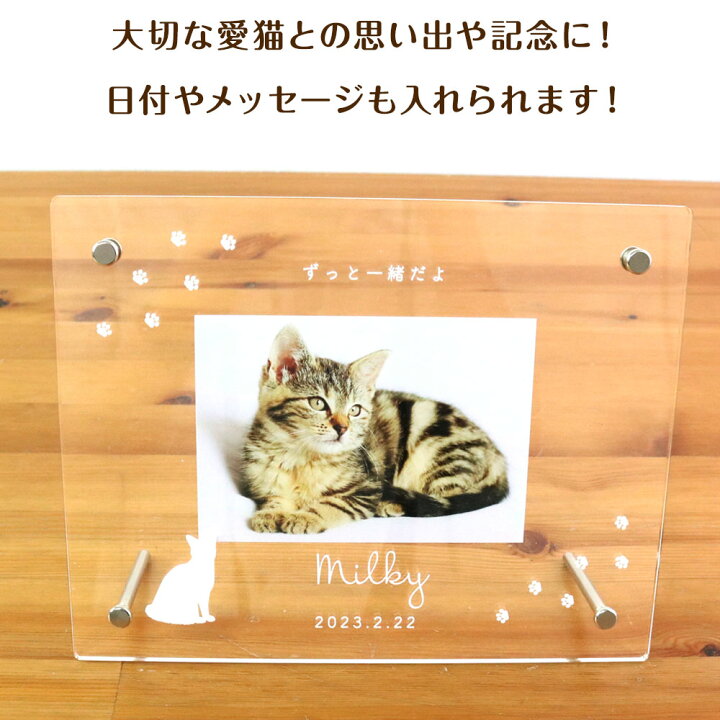 楽天市場】【最大1000円OFFクーポン配布中】【名入れ代込】【送料込 