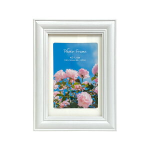 �yL���EKG���z�yWEB����z �i�J�o���V �ؐ��t�H�g�t���[�� �ʐ^���� �t-TWS-21 �u���E�� �i�`������ �z���C�g�y�n�K�L �|�X�g�J�[�h�z #301#�yCHI�z