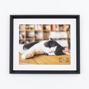 yő1000~OFFN[|zzziJoV ؐʐ^z^Zc؁^ubN F-SW-119-D yCHIz