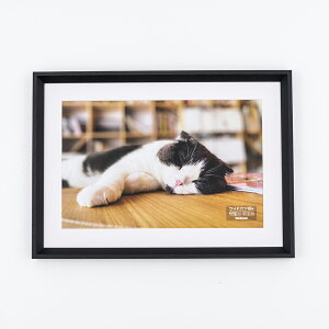 iJoV ؐʐ^z^WZc؁^ubN F-SW-120-D yCHIz