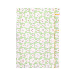 iJoV aԒ A6TCY Ԃ ԃO[i̐FF) m-WTJ-A6-4yCHIz