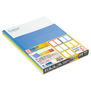 iJoV XCOEWJm[g B5TCYBr m-B501B-5P 5pbNyCHIz