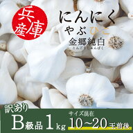 にんにく やぶひこ 金郷純白 1kg 2026年産 国産 兵庫県産 養父市 ナカバヤシ JGAP認証 大蒜 ニンニク 野…