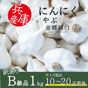 yő1000~OFFN[|zzzɂɂ ԂЂ  1kg 2024NY Y ɌY {s iJoV JGAPF f jjN   X^~i p ƒp Ɩp Hi H 