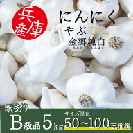 にんにく やぶひこ 金郷純白 5kg 2026年産 国産 兵庫県産 養父市 ナカバヤシ JGAP認証 大蒜 ニンニク 野…