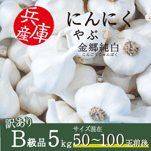 yő1000~OFFN[|zzzɂɂ ԂЂ  5kg 2024NY Y ɌY {s iJoV JGAPF f jjN   X^~i p ƒp Ɩp Hi H 