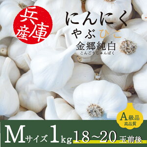 ɂɂ ԂЂ  MTCY 1kg 2024NY Y ɌY {s iJoV JGAPF f jjN   X^~i p ƒp Ɩp Hi H y[J[z