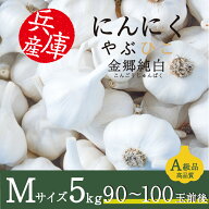 にんにく やぶひこ 金郷純白 Mサイズ 5kg 2026年産 国産 兵庫県産 養父市 ナカバヤシ JGAP認証 大蒜 ニン…