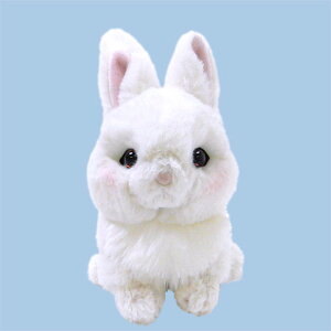 yő1000~OFFN[|zzzT@sk@ʂ݁@h[tzg@@P-4562yCHIz