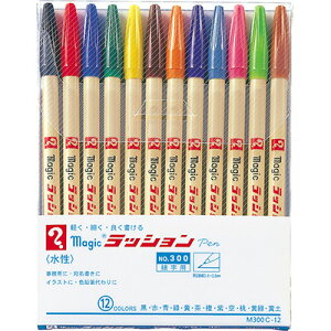 wH }WbN bVyNo.300 12FZbg M300C-12yCHIz