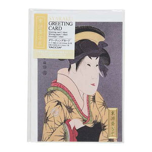 iJoV GXe[Vi[ F֎ʊy A6EO[eBOJ[h GC-02-8yCHIz