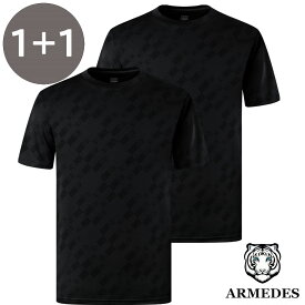 ARMEDES アルメデス 2枚セット コンプレッション インナー Tシャツ 接触冷感 ドライ素材 ラウンドネック 半袖 メンズ M-2XL 全5色 オールシーズン AR185 送料無料