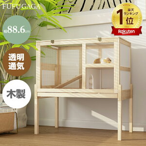 ԗDǓX܎܁ yyV1ʁznX^[P[W nlY~ P[W nX^[nEX nX^[ Q[W bg P[W ؐ 88.6cm K P[W g[t ʋC ybg 
