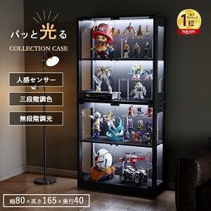 ̔LO 5000~OFFulZT[EFvRNVP[X 4i^Cv [^ 80cm 165cm s35cm ؐ fBXvCbN ubN tBMAP[X RNVbN 