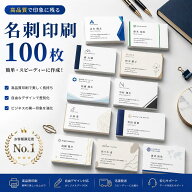 シンプル デザイン名刺 100枚 片面名刺作成 即日 即納出荷 送料無料 ビジネス名刺 印刷 ＜QRコードやロゴ…