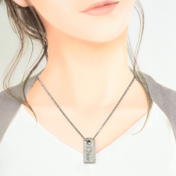 Christian DIOR シルバー ドッグタグ ネックレス 