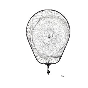 '24N7ViI _C fBOlbg FL II 55N K^ y^1/Ɨsz