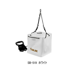 �i26�N5���V���i�j �T�����C�� �В������݃o�P�c SB-519 �z���C�g �i5�������\��^���\���t���j