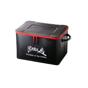 '20N9ViI H[ JZt ReiobJ CB-55B