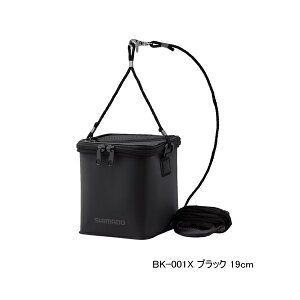 '24N3ViI V}m bV݃obJ BK-001X ubN 19cm