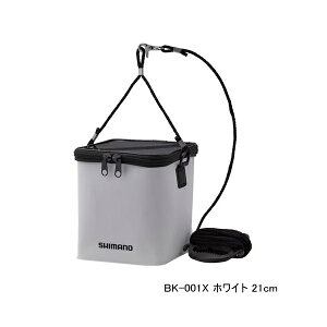 '24N3ViI V}m bV݃obJ BK-001X zCg 21cm