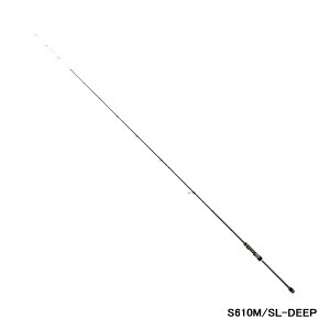 '20N10ViI eCEH[Nitail walkj eBbvo SSD S610M/SL-DEEP kd@ 107cml [10\/\t] yۏ؏tz