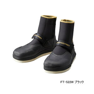 i񂹁^2\j i23N3Vij V}m ~ebh v WIbN rуtFgiې惏Chj FT-522W ubN LTCY 100