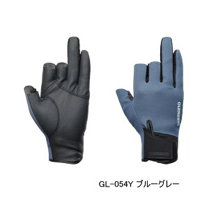 '25N10ViI V}m 03 ^C^j[EAt@ O[u 3 GL-054Y u[O[ LTCY