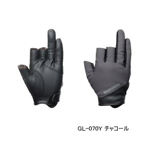 '25N9ViI V}m 01 x[VbNEH[ O[u 3 GL-070Y `R[ 2XLTCY