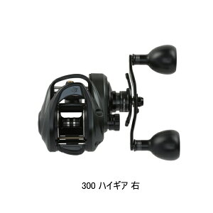 '25N9ViI AuKVA r[Xg 300 LP nCMA(E) yԕisz y^iz