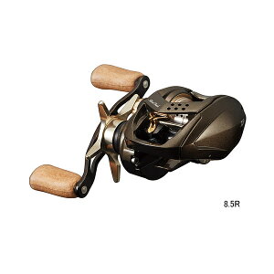 '22N1ViI _C '22 Vo[N[N GA TW Xg[JX^ 8.5R(E) y^iz