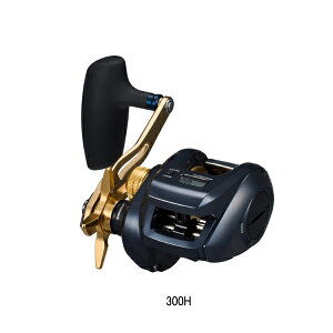 '23N9ViI _C '23 eBG LJ IC 300H(E) y^iz