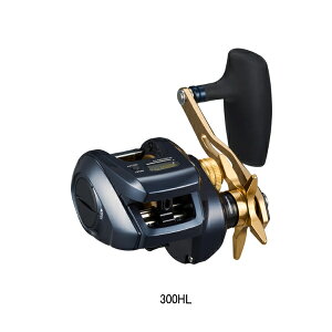 '23N9ViI _C '23 eBG LJ IC 300HL() y^iz