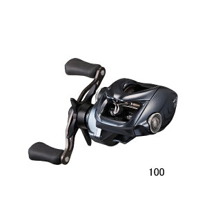 '24N12ViI _C ^gD[ SV TW 100(E) y^iz