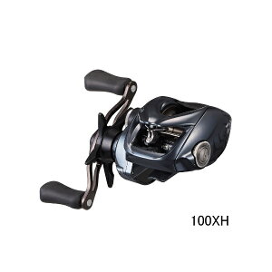 '24N12ViI _C ^gD[ SV TW 100XH(E) y^iz