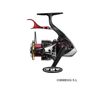 '22N12ViI V}m '22 BB-X nCp[tH[X C3000DXG S L() y^iz