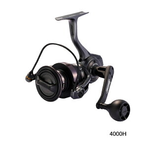 i25N11Vij AuKVA r[Xg SP 4000H iԕisj i^ij