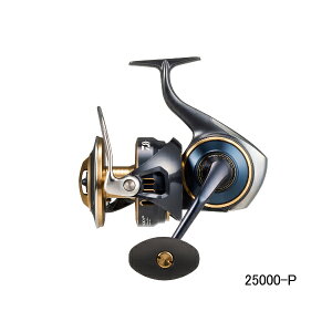 '25N5ViI _C '25 \eBK 25000-P y^iz