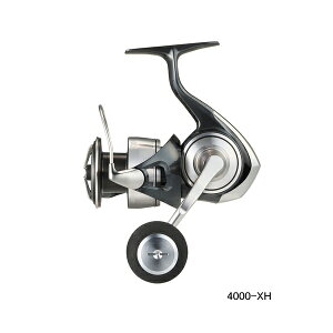 '24N9ViI _C Ze[g SW 4000-XH y^iz