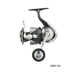 '24N9ViI _C Ze[g SW 6000-XH y^iz