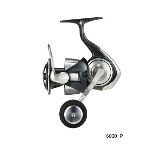 '24N9ViI _C Ze[g SW 6000-P y^iz