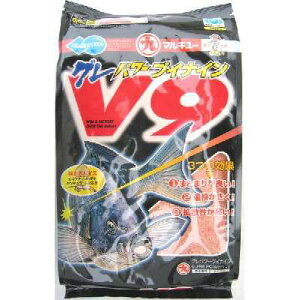 }L[25%yOp[V9 i1P[XE12ܓjz 8190