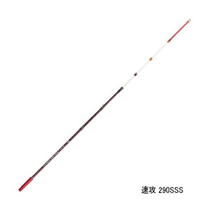 '23N9ViI _C NXeBA JTM LTD AGS U 290SSS kS 29.0cml