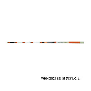 '25N9ViI PROX UIJTMGGS WHHG521SS uIW SS kS 21cml