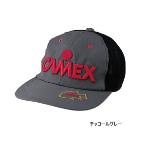 ޕ LbNX Lbv III `R[O[