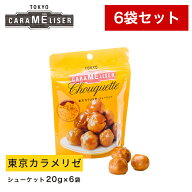 東京みやげ 焼き菓子 / 東京カラメリゼ シューケット スタンディングパック 6袋セット/ 東京土産 スイー…