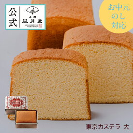 【送料込み】夏ギフト お中元 父の日 菓子折り 御挨拶 粗品 のし紙 内祝い スイーツ 焼き菓子 ギフト 詰め合わせ 個包装 あす楽 送料無料 / 東京カステラ 大 /洋菓子 手土産 お返し プレゼント 御祝 御礼 結婚 出産 職場 会社 退職 日持ち