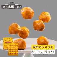 東京みやげ 焼き菓子 / 東京カラメリゼ シューケット 20個入り/ 東京土産 スイーツ ギフト 詰め合わせ 個…